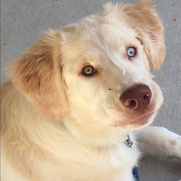 Meet your Posher, Sherry - Picture 3 of 3